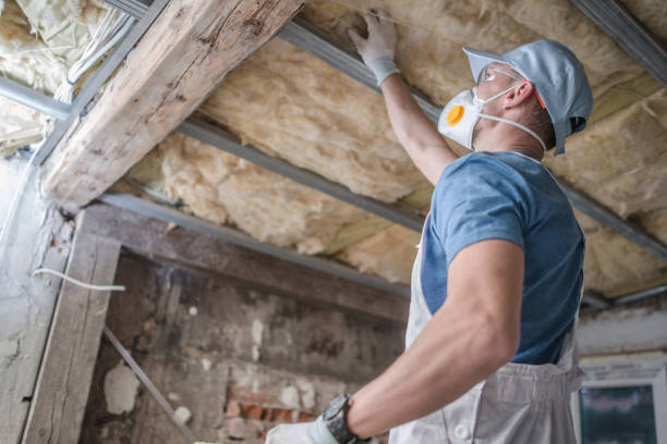 Best Insulation Maintenance and Repair in Vicksburg, MI
