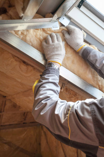 Best Residential Insulation in Vicksburg, MI