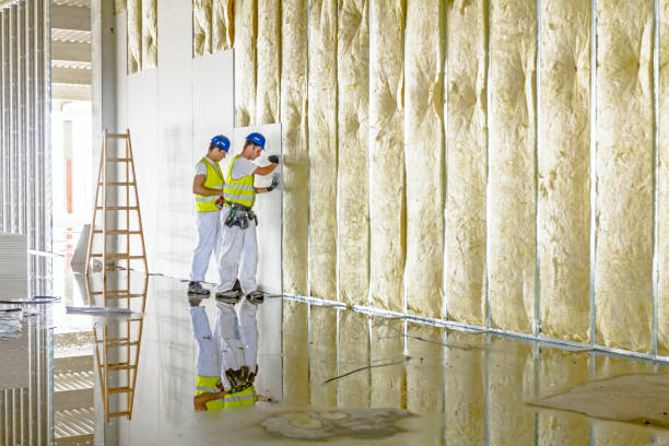 Best Commercial Insulation in Vicksburg, MI